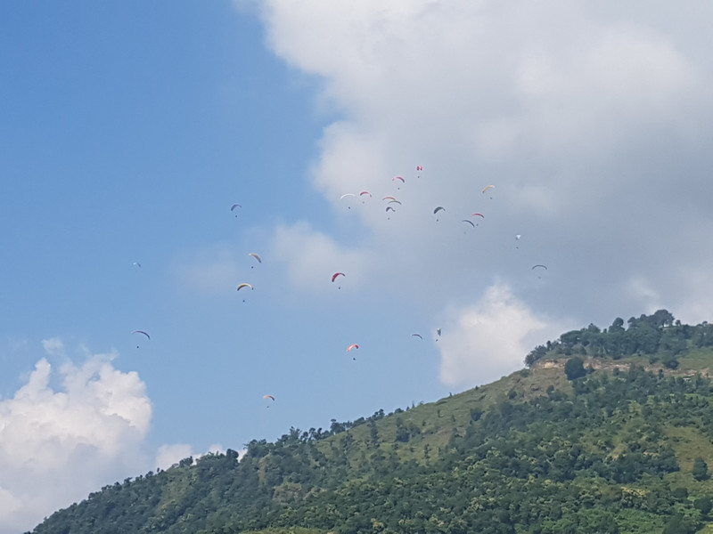 A flight of Paragliders