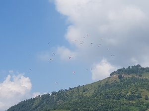 A flight of Paragliders