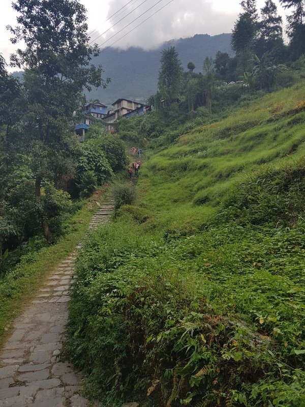 Path between two parts of a village. "Nepali flat" 
