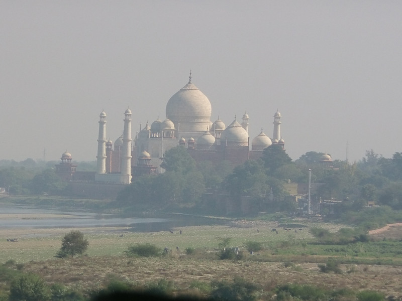 Taj from Fort 1
