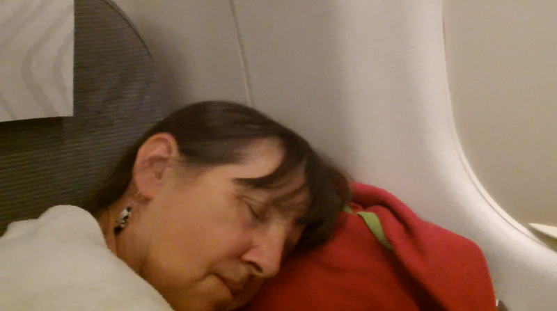 Shirl Asleep on Plane by Rocco