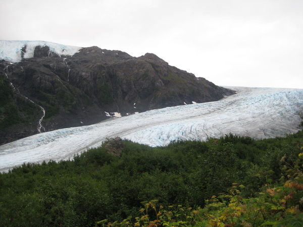 Exit glacier - Seward