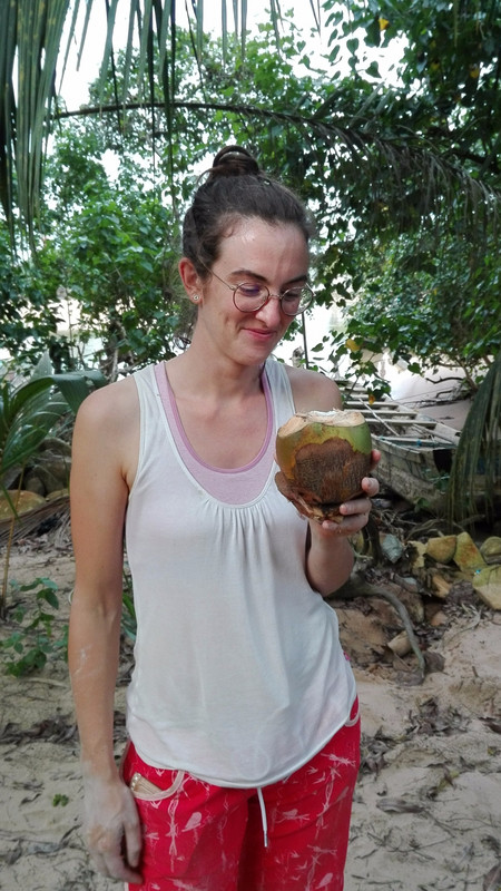 Fresh coconut, straight from the tree ! A nice break from plastering
