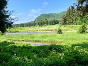 The Spasski River Valley Wildlife Tour - 3
