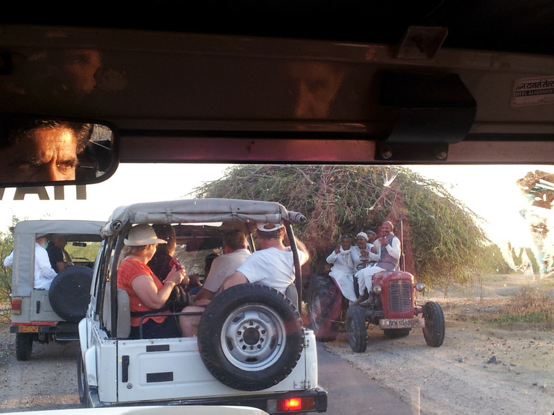 Jeep Safari Crazy