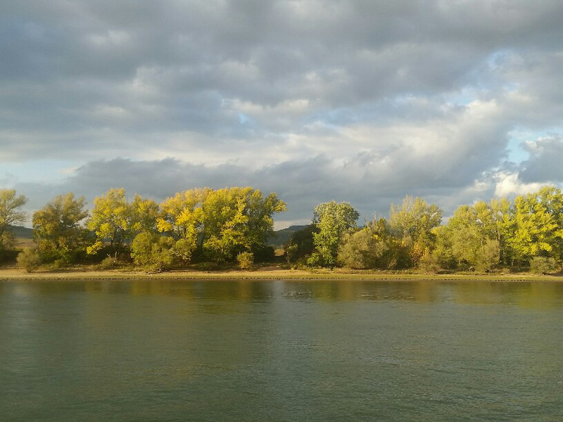 Danube river 