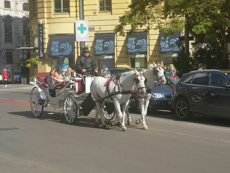 Another horse & carriage 