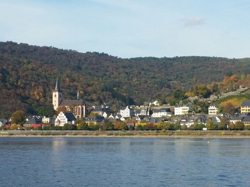 Cruising the Rhine 