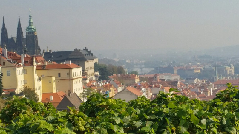 Overlooking Prague 