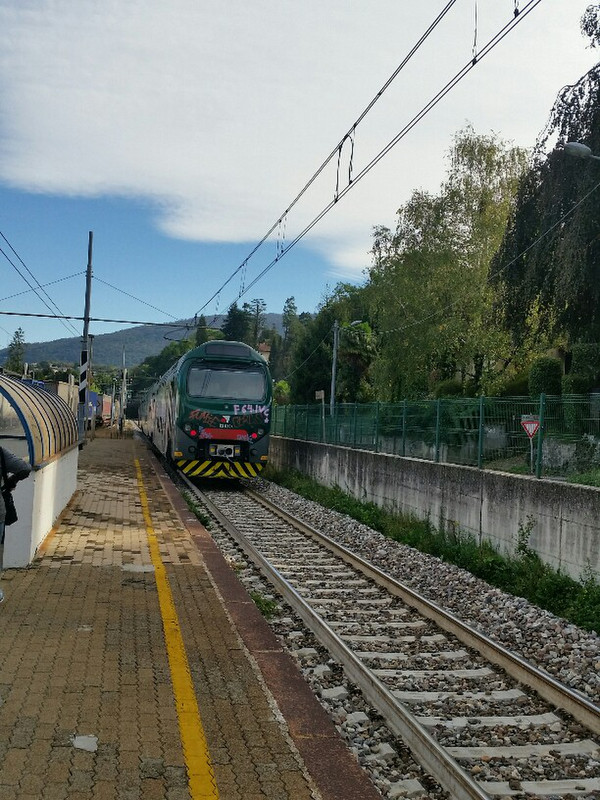 Train back to Milan