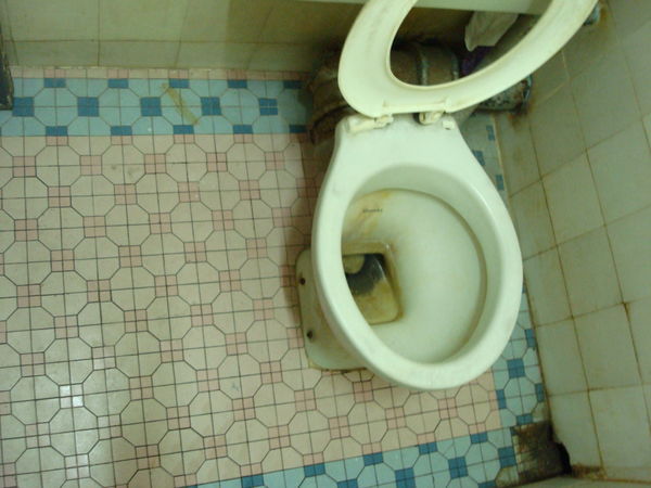 The Infamous Toilet 