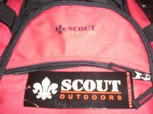 Cats´s new scout bag