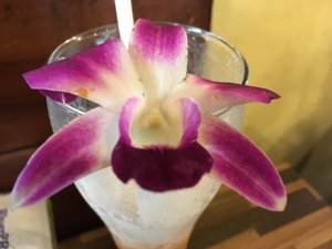 Banana shake with orchid