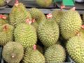 Durians - tasty, but extremely smelly