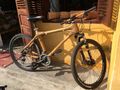 Bike with bamboo frame