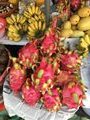 Dragon fruit, Asian bananas, other fruit