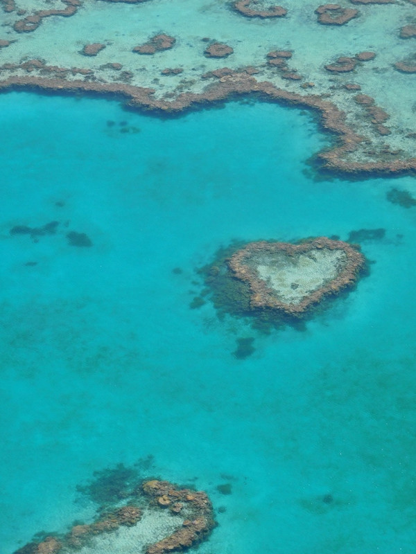 Great Barrier Reef Flight - notice the heart-shaped island