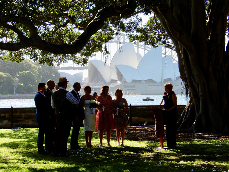 Wedding, Sydney Opera House in background