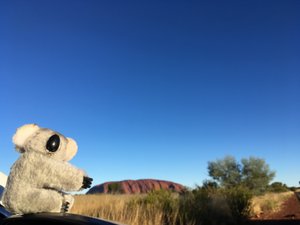 Ruby at Uluru