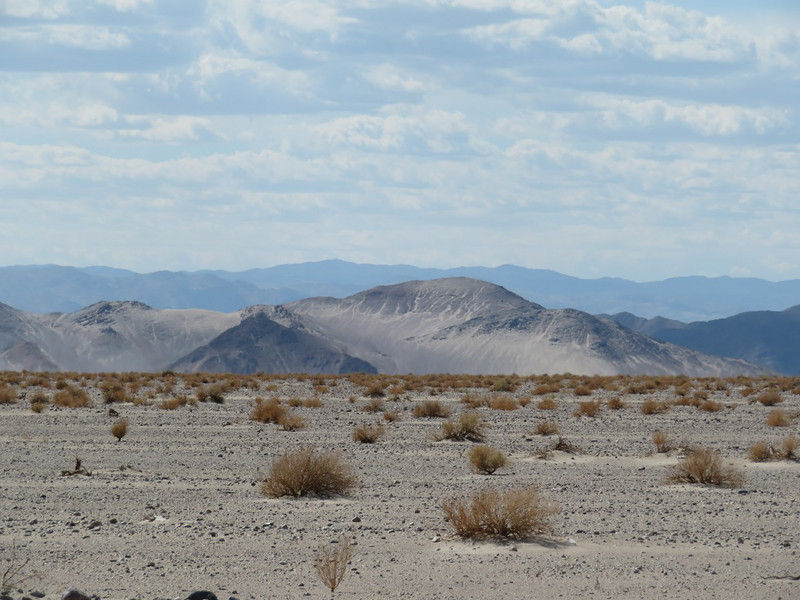 Near Death Valley National Park