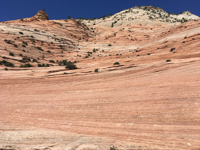 Zion National Park