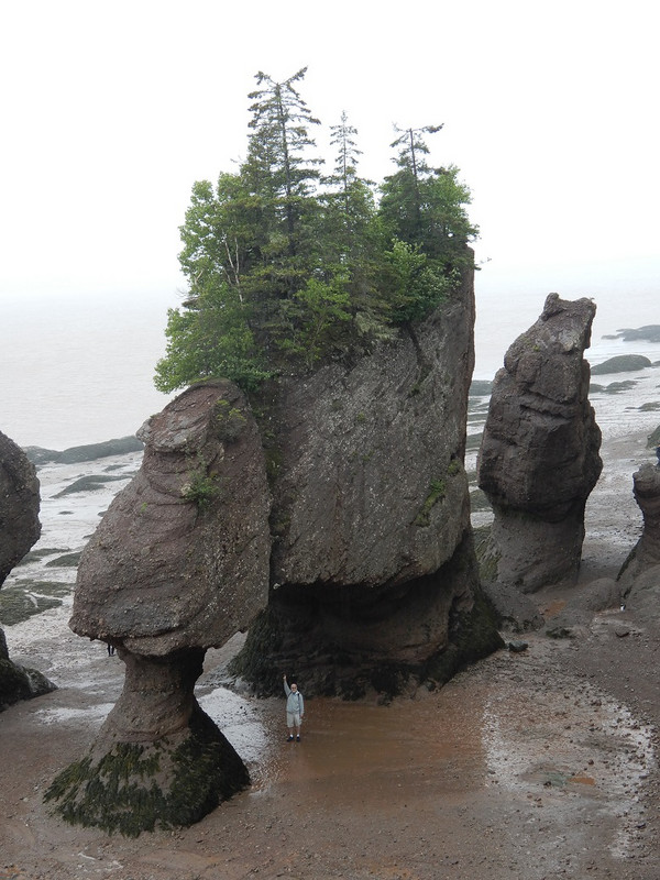 Pete at Hopewell Rocks, same view at low tide