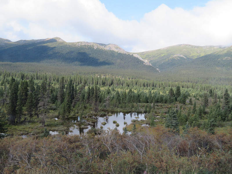 Denali National Park