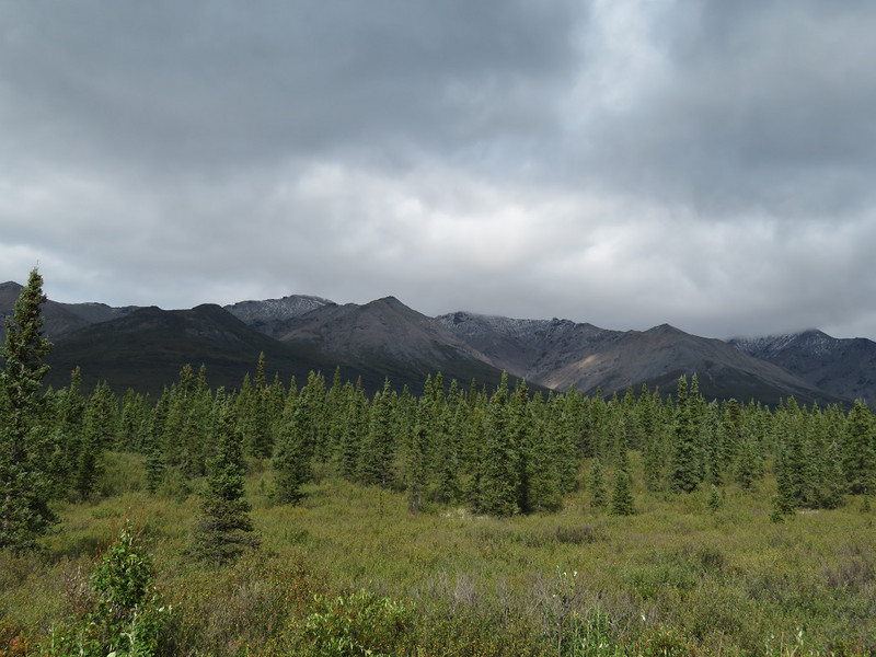 Denali National Park