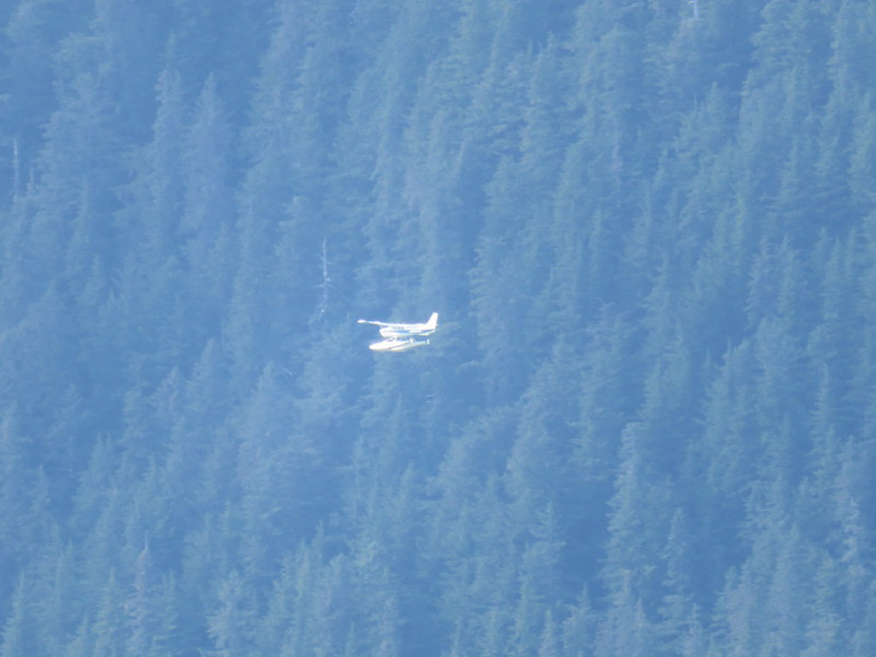 Columbia Glacier cruise float plane