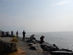 People watching beluga whales, on side of road to Anchorage