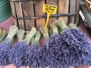 Lavender at market