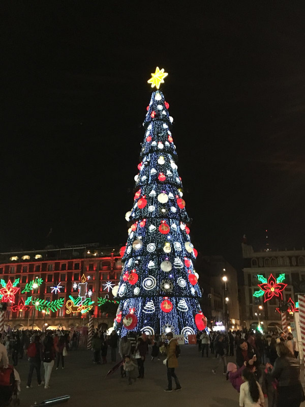 Weihnachtsbaum auf dem Zócalo