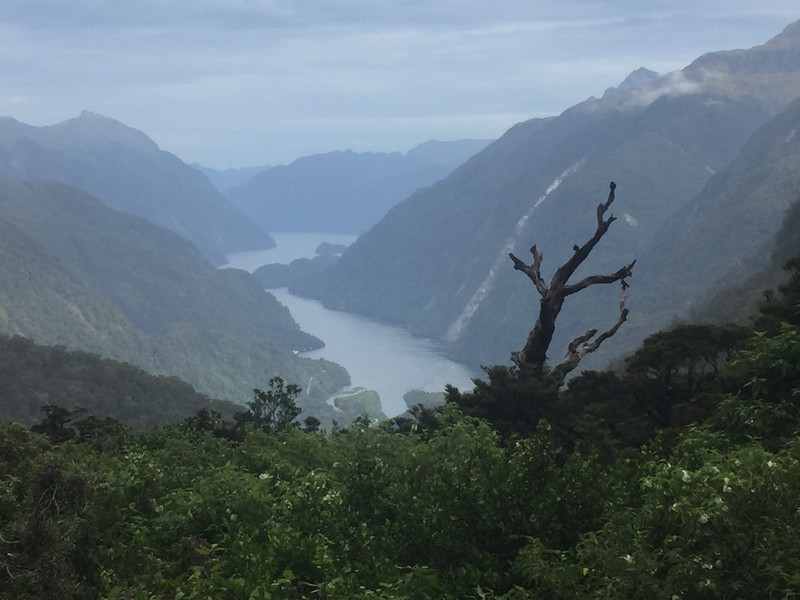Erster Blick vom Wilmot Pass auf den Doubtful Sound 
