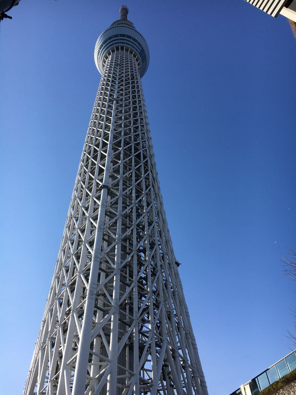 Der Skytree Tower in Tokyo