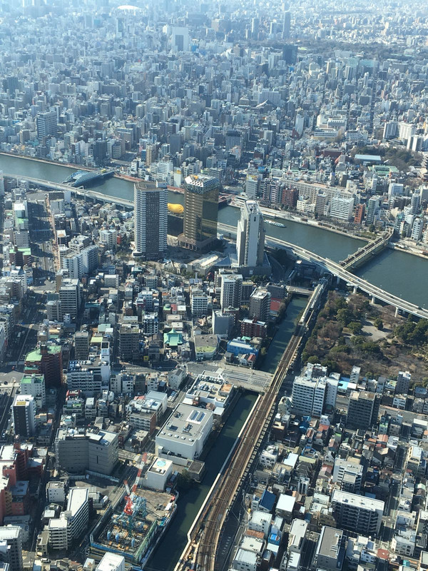 Ein (kleiner) Teil Tokyos aus 350 m Höhe