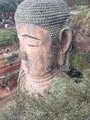 Der Kopf des Grossen Buddha in Leshan