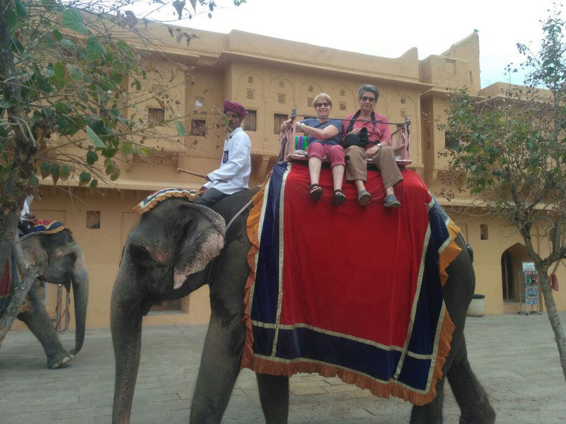 Ritt auf dem Elefanten zum Fort Amber. Jaipur.
