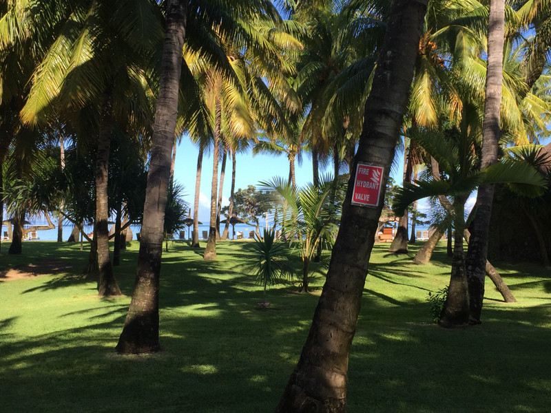 Blick gegennden Strand, La Pirogue, Mauritius 