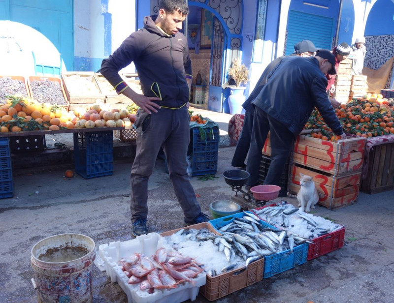 Fish monger and the help