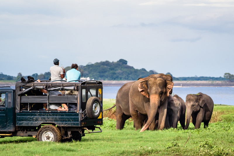 Jeep safari - Kaudulla - Sri Lanka