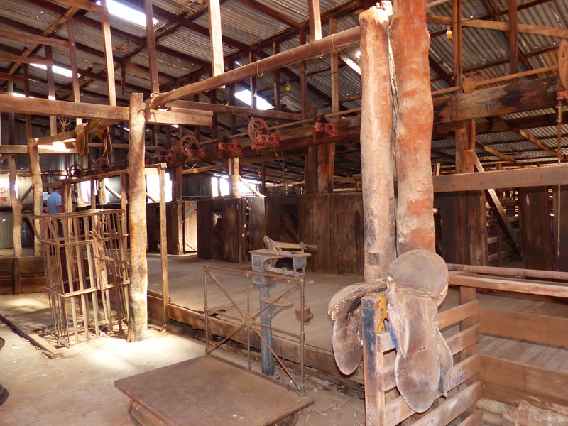 Inside The Shearing Shff