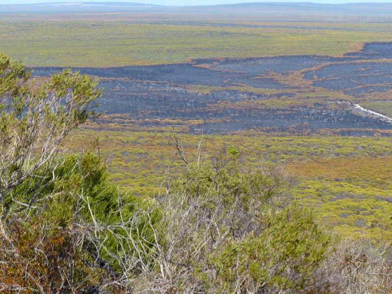 Burnt Out Areas In The National Park