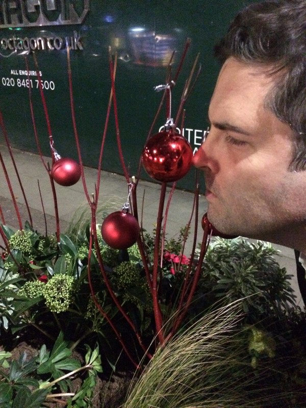 Smelling the baubles