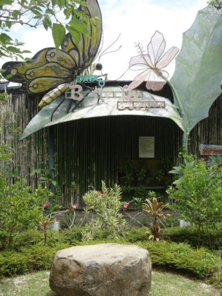 Butterfly Garden at Davao Croc Park