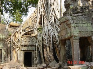Ta Prohm at the Angkor complex, Cambodia