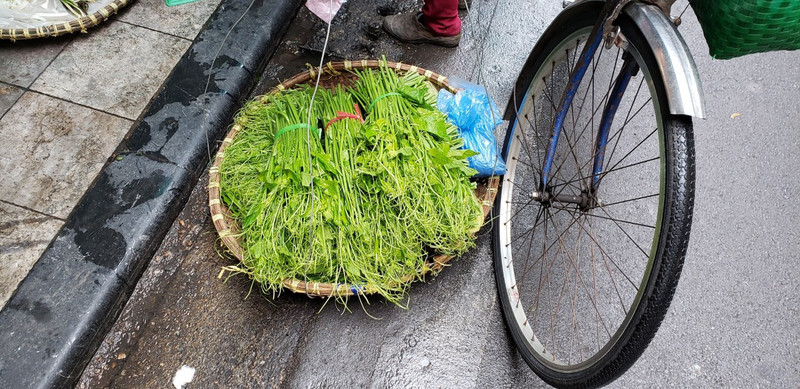 Greens for sale by bicycle