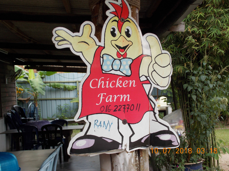 Uncle Ranni's Organic Chicken Farm outside of KL