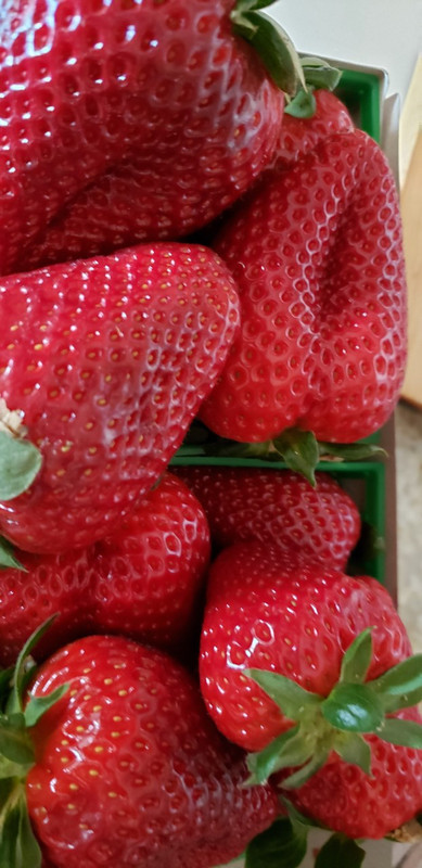 Best strawberries in the world!