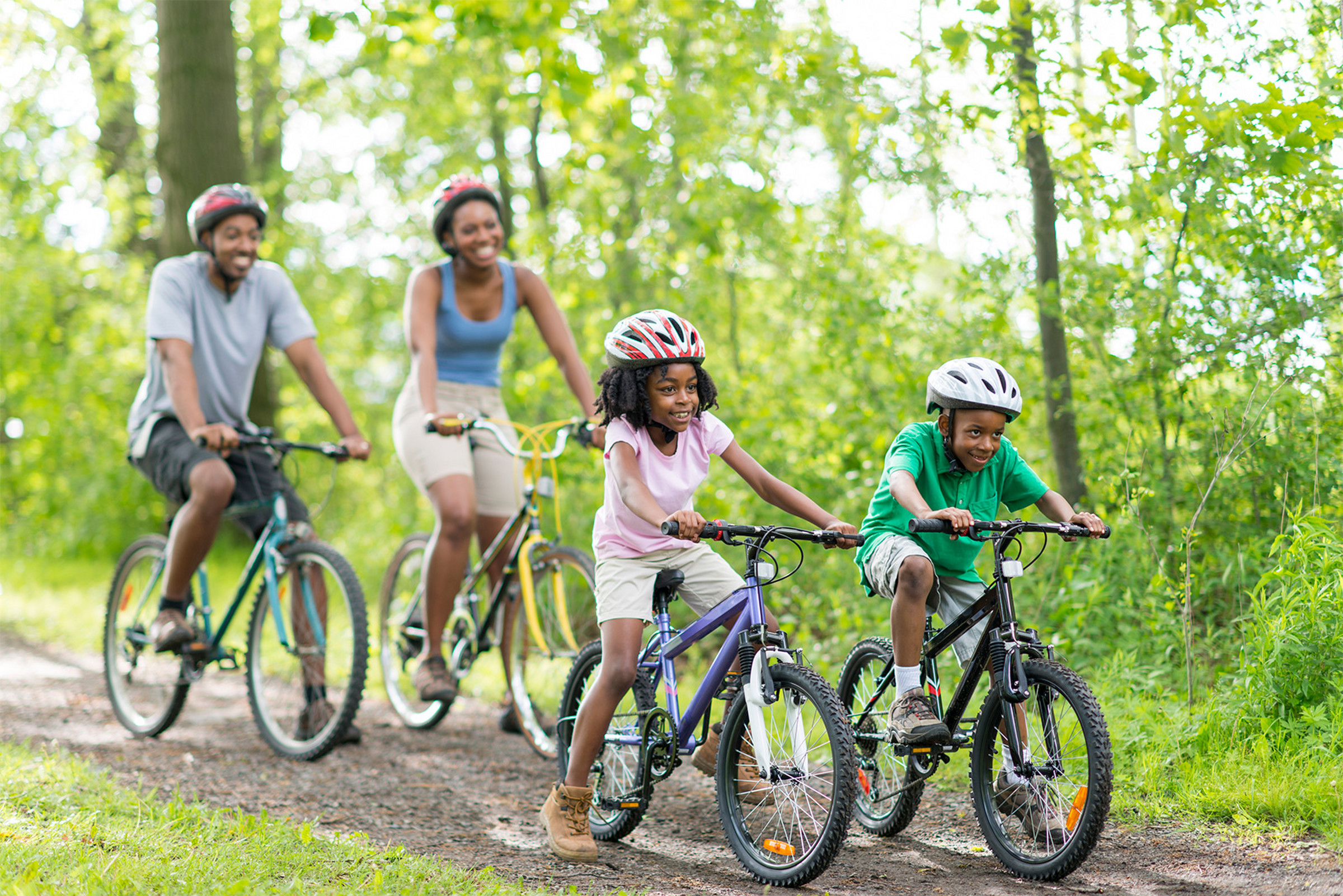 leisure bikes for adults