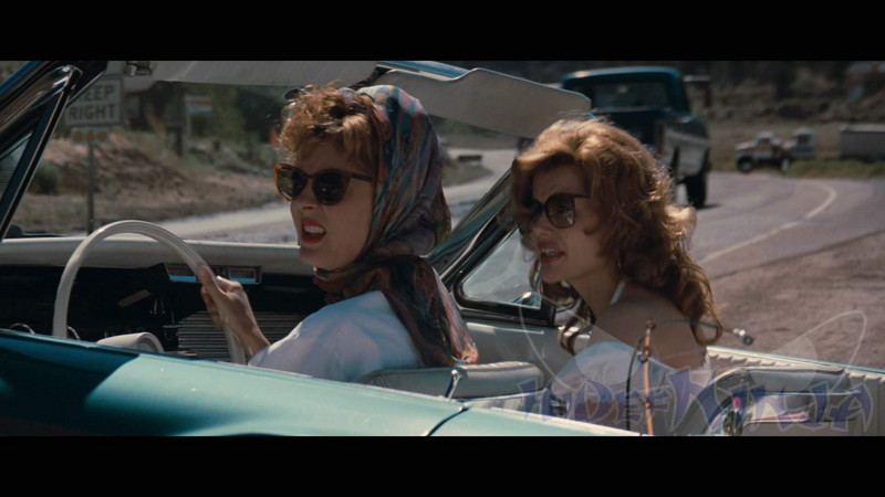 Maybe it is safer with Thelma and Louise??